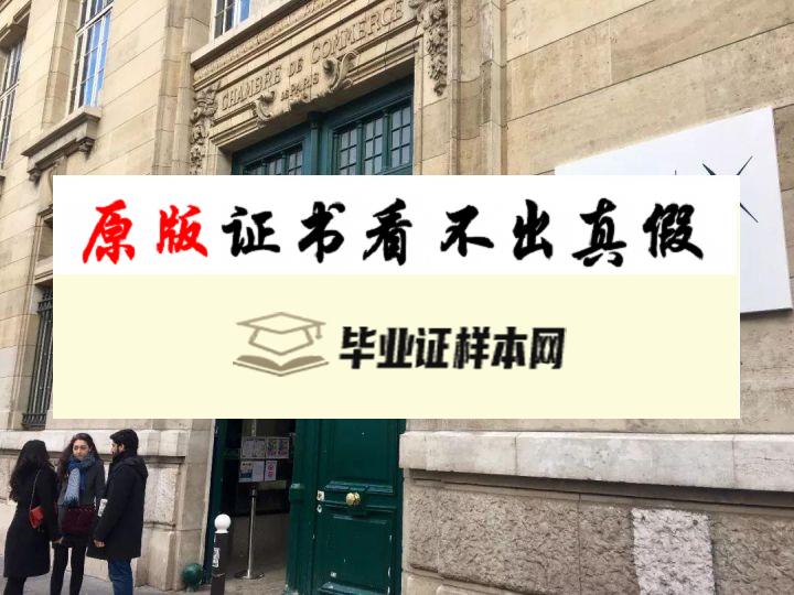 法国英赛克商学院毕业证书样本