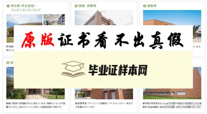 日本千叶科学大学毕业证书模板 ちばだいがく Chiba University