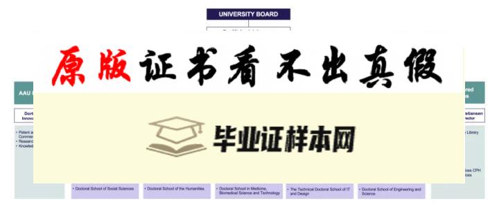 丹麦奥尔堡大学毕业证书模板