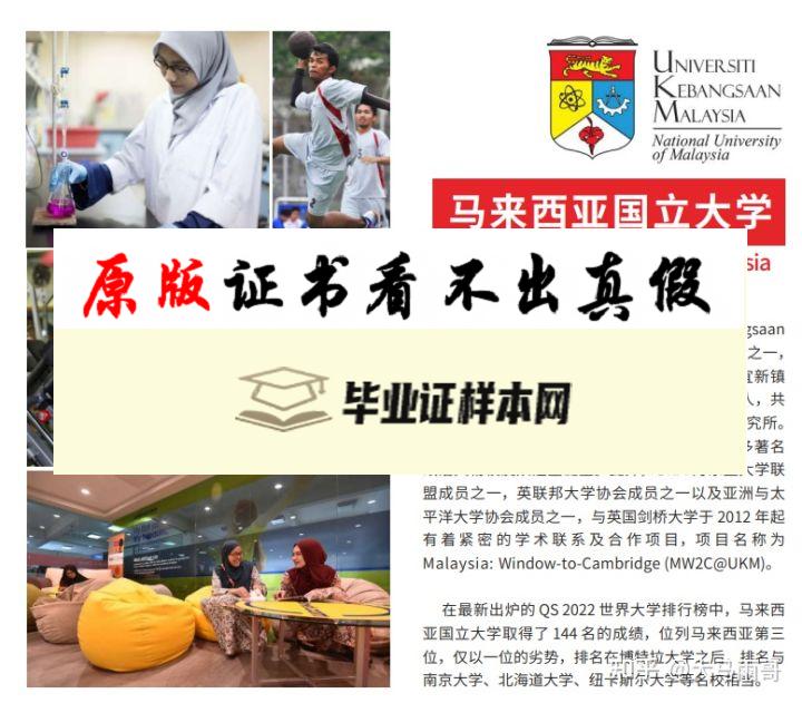 马来西亚大学毕业证书模板  University of Malaya