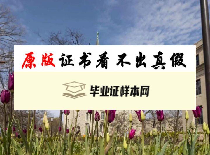 美国西北大学凯洛格商学院毕业证书样本