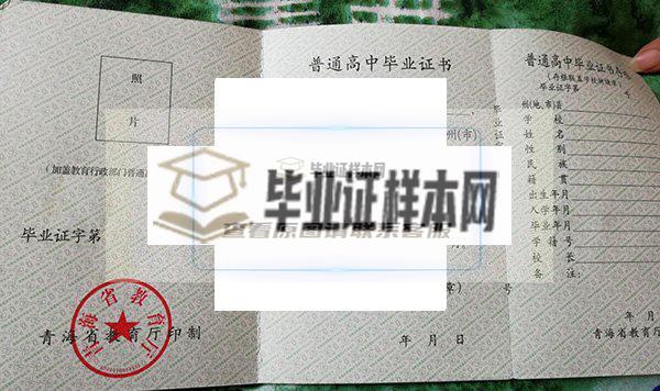 湟中县汉东中学2013年毕业证