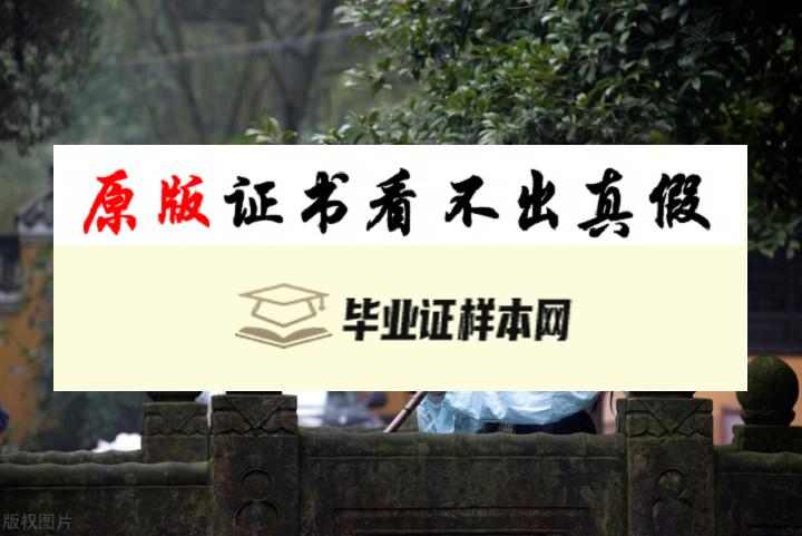 日本广岛女学院大学毕业证书模板  Hiroshima University