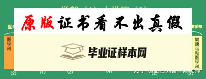 日本久留米大学毕业证书模板