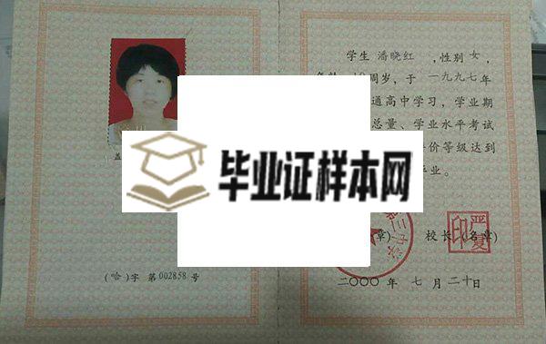 东丰县第二中学毕业证样本