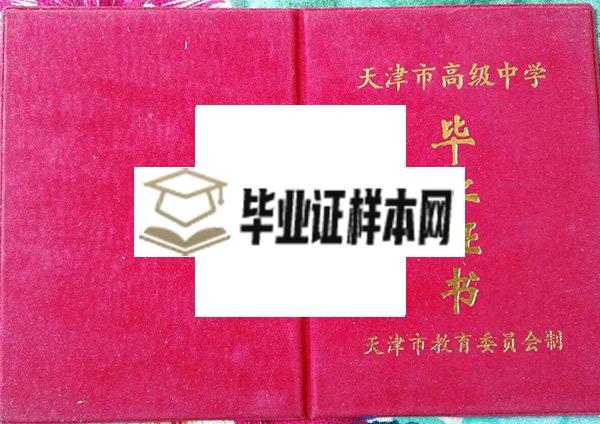 天津市铃铛阁外国语中学2003年毕业证