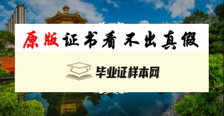 纳塔尔大学毕业证书模板