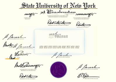 美国纽约州立大学毕业证书样本