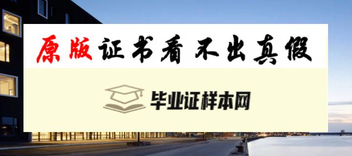 丹麦奥尔堡大学毕业证书模板