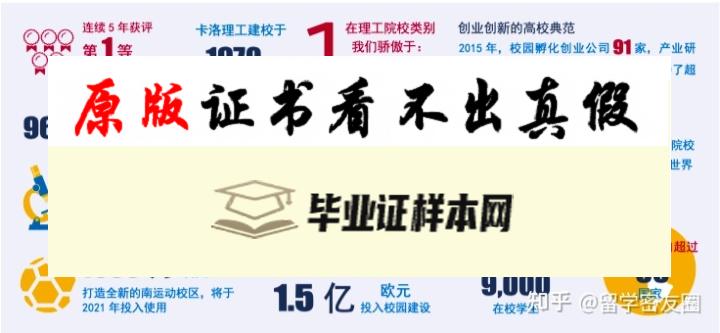 爱尔兰卡罗理工大学毕业证书样本