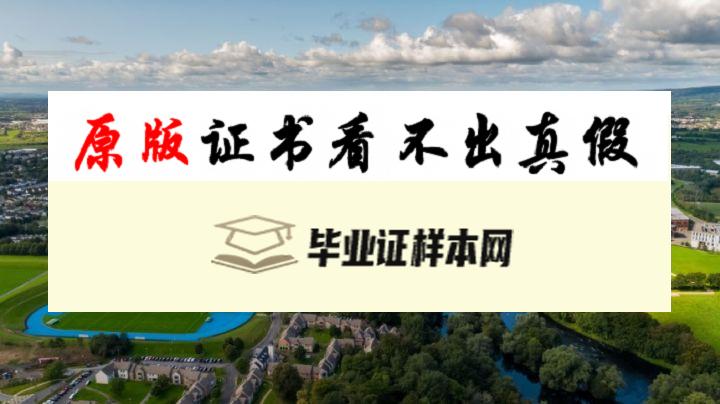 爱尔兰利默瑞克大学毕业证书模板  University of Limerick