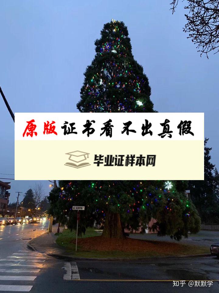 加拿大维多利亚大学毕业证书样本  University of  Victoria