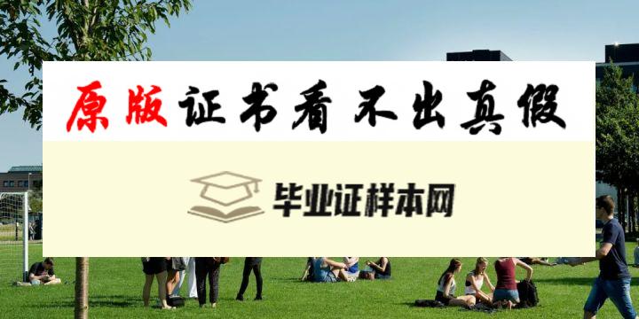 丹麦奥尔堡大学毕业证书模板