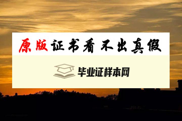 美国西北大学凯洛格商学院毕业证书样本