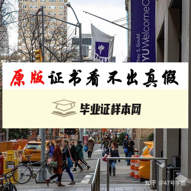 美国​纽约大学毕业证书样本 New York University