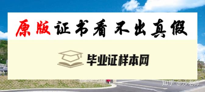 日本千叶科学大学毕业证书模板 ちばだいがく Chiba University