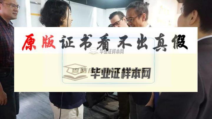 美國州立圣克勞德大學畢業證書樣本 st.doud state university