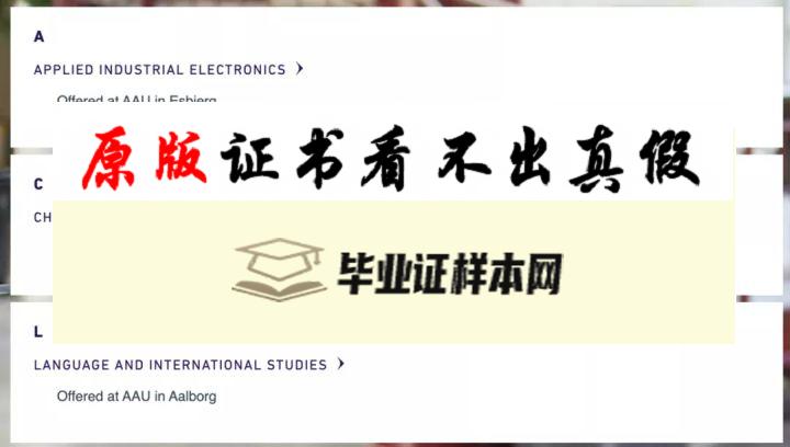 丹麦奥尔堡大学毕业证书模板