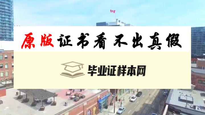 加拿大乔治布朗学院毕业证书样本  George Brown College