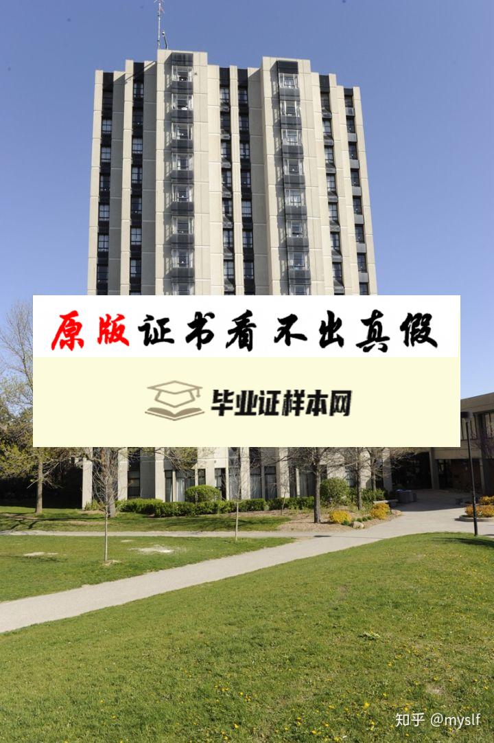 加拿大约克大学毕业证书样本  York University