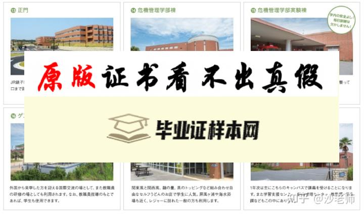 日本千叶科学大学毕业证书模板 ちばだいがく Chiba University