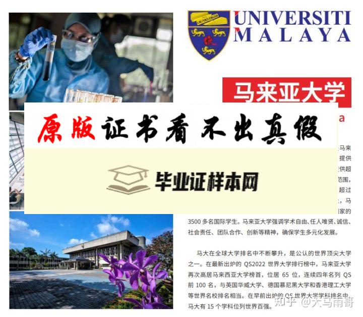 马来西亚大学毕业证书模板  University of Malaya