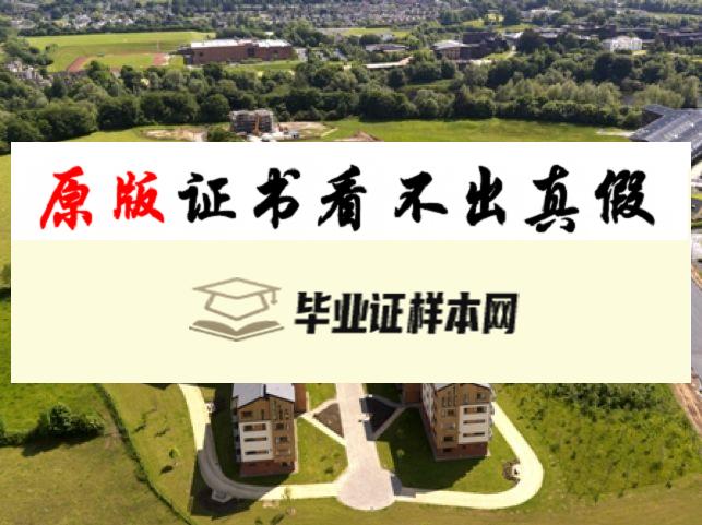 爱尔兰利默瑞克大学毕业证书模板  University of Limerick