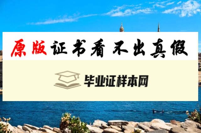 欧洲马耳他大学毕业证书模板  university of malta