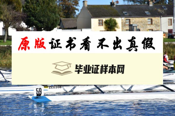 爱尔兰利默瑞克大学毕业证书模板  University of Limerick