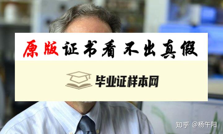 美国约翰霍普金斯大学毕业证书样本