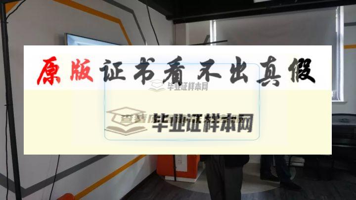 美國州立圣克勞德大學畢業證書樣本 st.doud state university