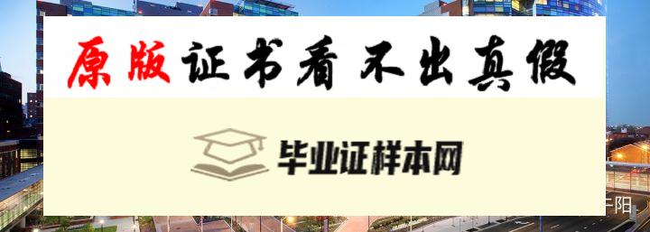 美国约翰霍普金斯大学毕业证书样本