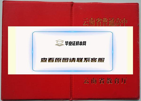 云南省1994年高中毕业证封面