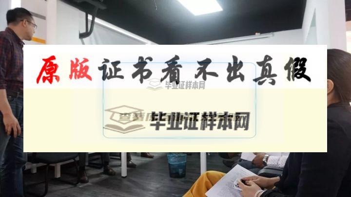 美國州立圣克勞德大學畢業證書樣本 st.doud state university