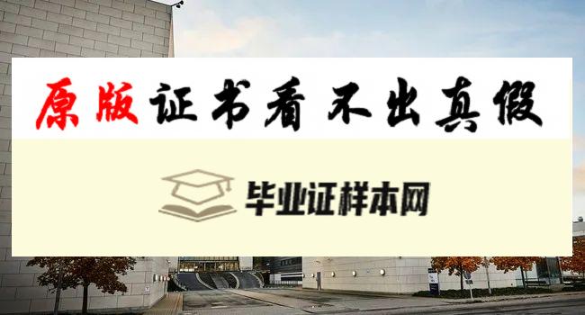 丹麦奥尔堡大学毕业证书模板