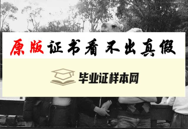 澳大利亚纽卡斯尔大学毕业证书样本  The University of Newcastle