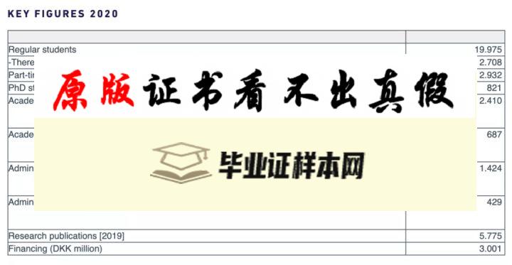 丹麦奥尔堡大学毕业证书模板