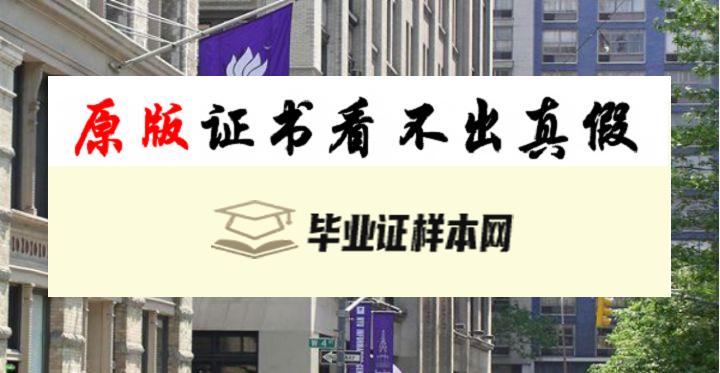 美国纽约大学毕业证书样本 New York University