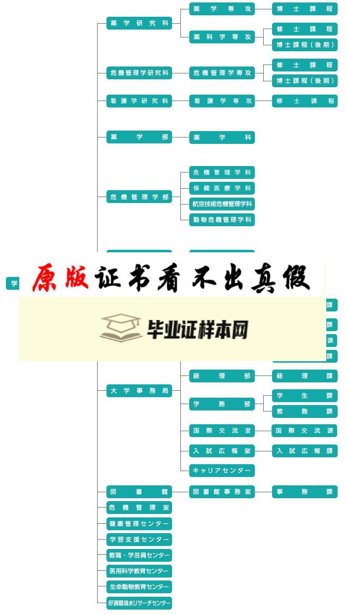 日本千叶科学大学毕业证书模板 ちばだいがく Chiba University