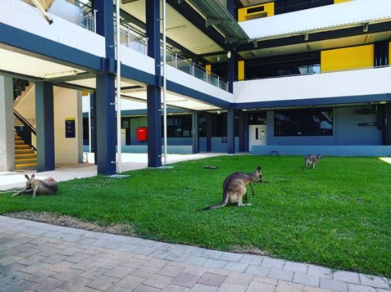 澳大利亚中央昆士兰大学毕业证书样本  Central Queensland University