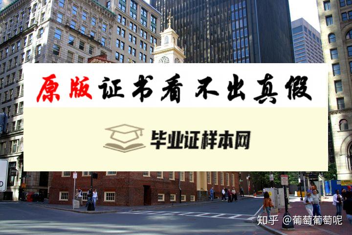 美国东北大学毕业证书样本  Northeastern University