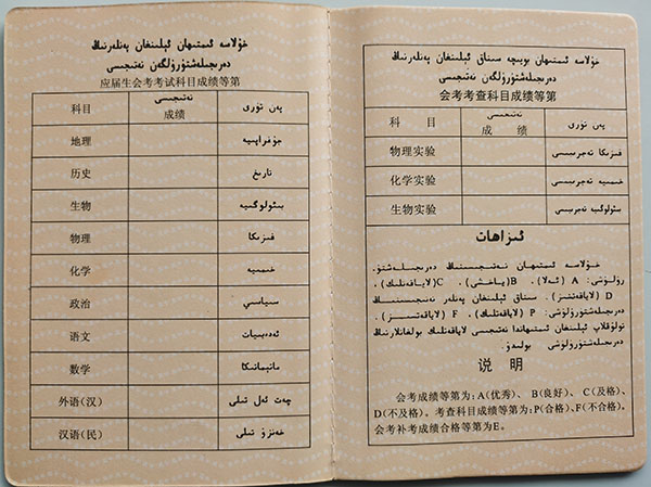 2000年新疆高中毕业证成绩单