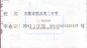 安徽省高中毕业证字号怎么填写_毕业证(XXX)字第XXXXX号