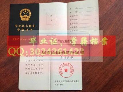 湖南省初级资格证书职称证书样本