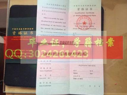 河北省老版中级资格证书职称证书