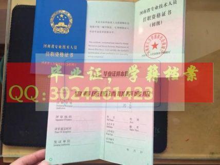 河南省新版初级资格证书职称证书