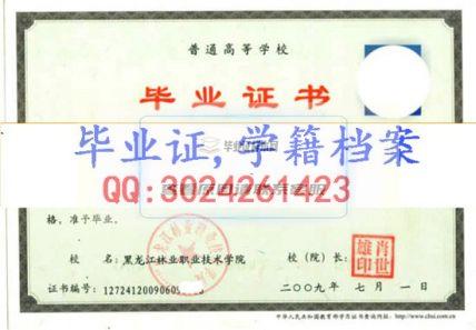 黑龙江旅游职业技术学院毕业证学籍档案
