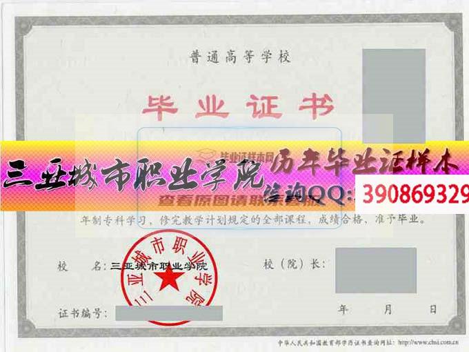海南軟件職業技術學院學位證樣本