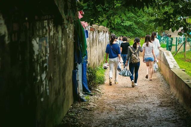 阳光+南湖，武汉纺织大学，一个字，美！