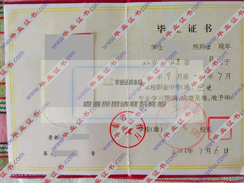 山东大王职业学院2003年中专（职专）毕业证